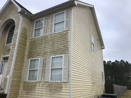 How moyocks humidity and shade create the perfect conditions for exterior algae growth