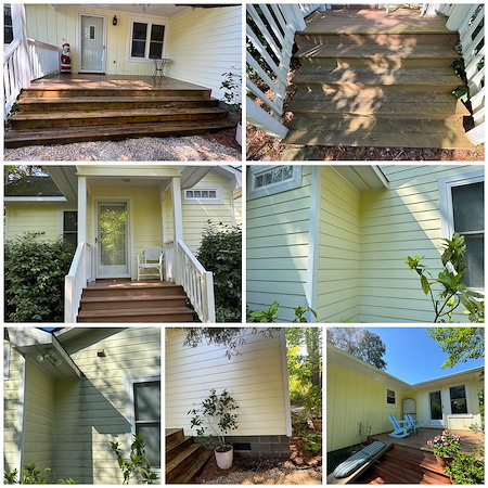 Why mildew keeps growing on your siding walkways and outdoor surfaces